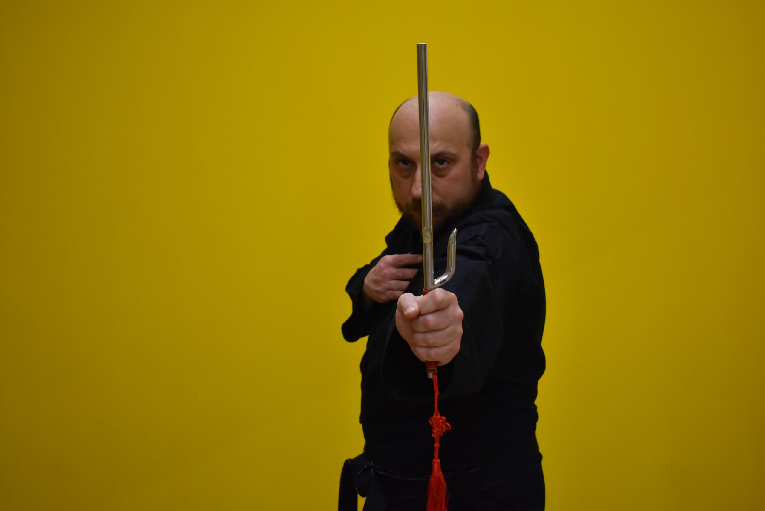 Ninjutsu Image 2
